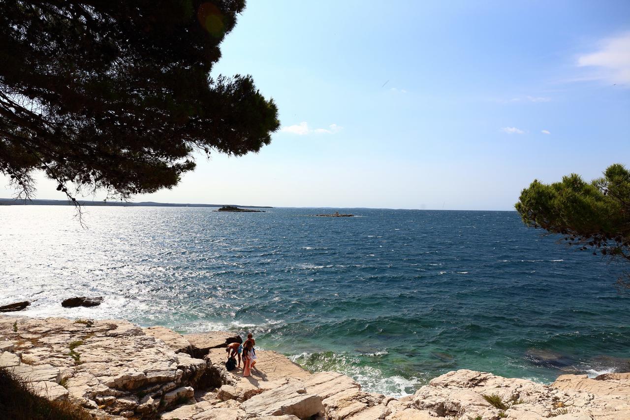 Apartma Amalia *