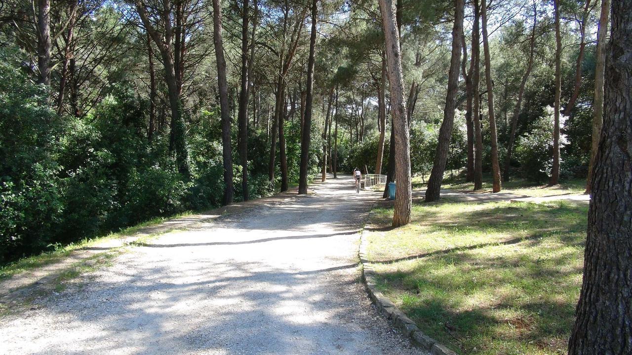 Amalia Rovinj
